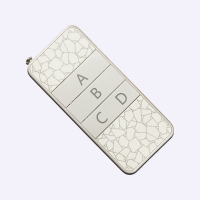 ZY100-4 中功率遙控器